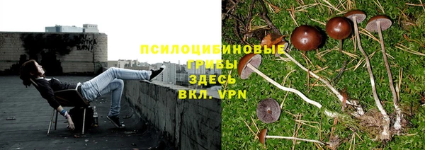 кокаин премиум Беломорск